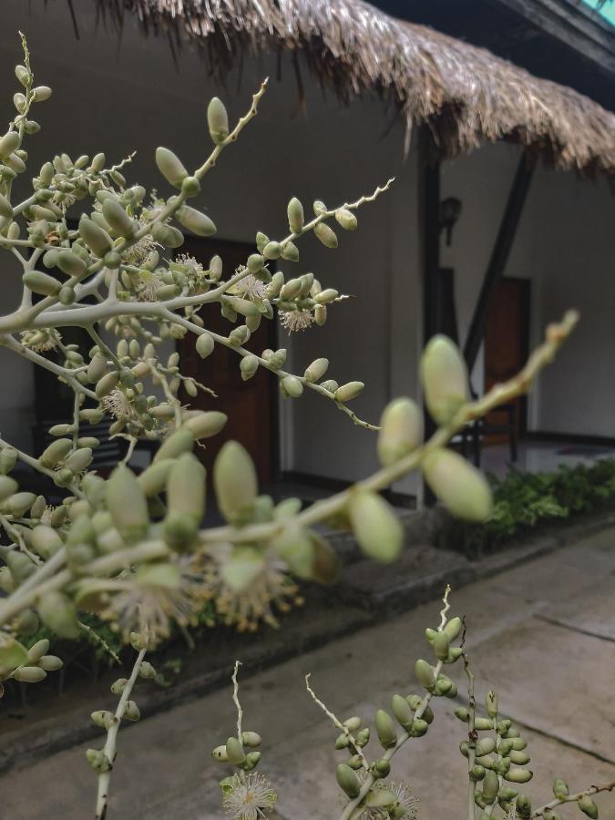 Mimi Kuta Homestay מראה חיצוני תמונה